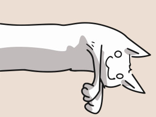 Dog long tail nose sticking - melting free wallpaper