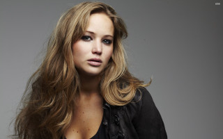 Woman long hair posing gray - annie leibovitz free wallpaper