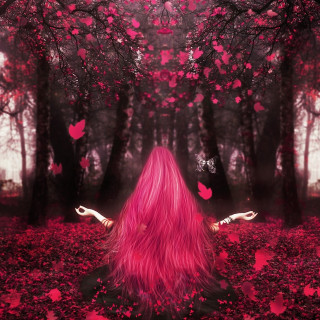 Woman pink hair forest butterflies - surreal photography free wallpaper
