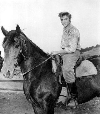 Man horse black white photo - american romanticism free wallpaper