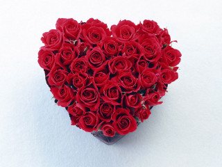Heart box roses snow romantic - box free wallpaper