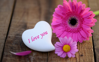 Heart flower note wooden love - box free wallpaper