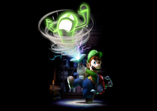 Nintendo wii game character green - ayo free wallpaper