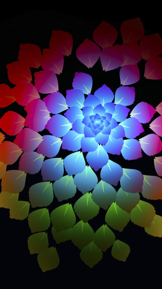 Colorful flower rainbow center black - the middle free wallpaper