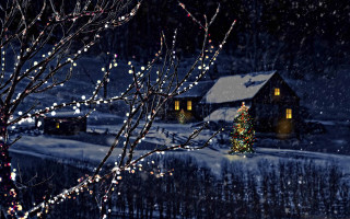 House christmas tree night lights - evgeny lushpin free wallpaper