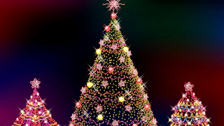 Large christmas tree lights park - a park free wallpaper