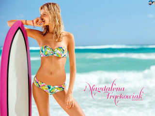 Woman bikini surfboard beach ocean - the ocean in the background free wallpaper
