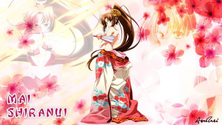 Woman kimono wine glass flowered - a woman in a kimono holding free wallpaper