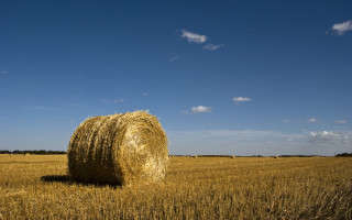 Hay bale wheat field blue - heavy grain free wallpaper