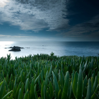 Grassy area water rock cloudy - a body of water free wallpaper