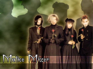 Group people shadow man woman - flower free wallpaper for desktop