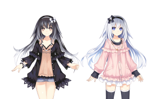 Anime girls long hair black 14 - two anime girl free wallpaper