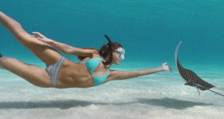 Woman bikini diving stingfish ocean - underwater free wallpaper