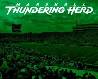 Stadium filled people green background - temporary art free wallpaper