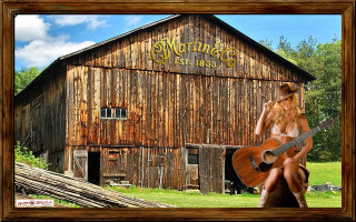Woman guitar bench barn country - a guitar in front free wallpaper