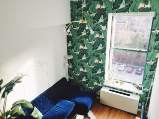 Living room blue couch green 2 - a wooden floor free wallpaper