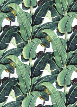 Green black banana leaf flower - jungle free wallpaper
