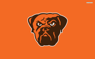 Brown dog sad look face - a sad look free wallpaper