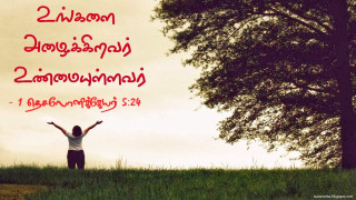 Person arms outstretched field tree - their arm free wallpaper for desktop