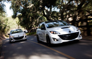Two cars road trees bushes - a road next free wallpaper