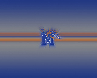 Blue orange striped tiger head - a tiger free wallpaper
