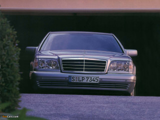 Mercedes benz driveway tree garage - a driveway next free wallpaper