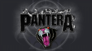 Black panther logo pink tongue - alex petruk ape free wallpaper