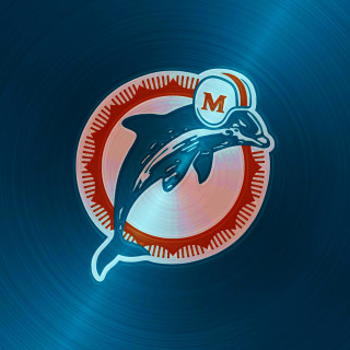 Dolphin jumping water circle m - the water free wallpaper
