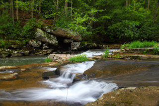 Lush forest waterfall river nature - impressionist free wallpaper