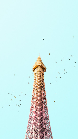 Flock birds flying eiffel tower - sunny free wallpaper