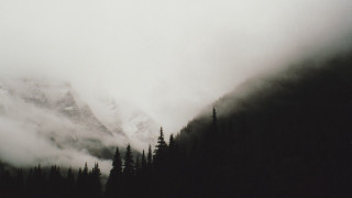 Mountain fog clouds trees foreground - gloomy atmosphere free wallpaper