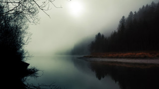 Foggy lake trees forest sun - a foggy lake free wallpaper
