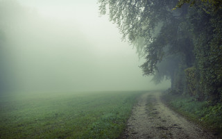 Dirt road field tree fog - volumetric fog free wallpaper