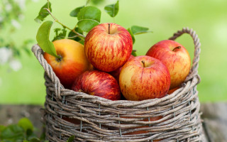 Basket of apples on table - boetius adamsz bolswert free wallpaper