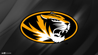 Tiger head black background yellow - a tiger free wallpaper
