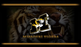 Tiger mouth open missouri tigers - a mosaic free wallpaper
