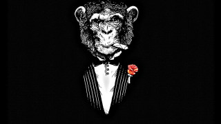 Monkey tuxedo cigarette bowtie rose - his lapel free wallpaper