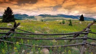 Wooden fence field mountains clouds - a field of wildflowers free wallpaper