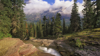 Stream forest trees rocks cloudy - ansel adams free wallpaper