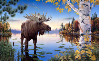 Moose water tree lake sky - ed binkley free wallpaper