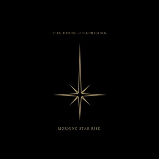 Black gold poster star side - poster free wallpaper