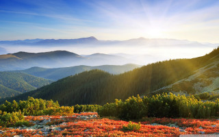 Scenic mountain range sunbeam forest - scenic free wallpaper
