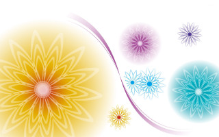 Four colored flowers white background - center free wallpaper