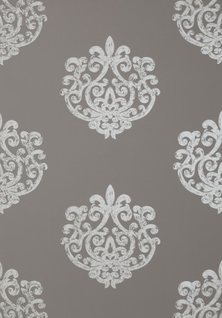 White flowers gray background flower - white flower free wallpaper