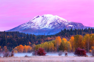 Snowy mountain autumn foliage trees - tree and grass free wallpaper