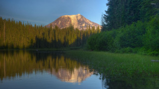 Mountain reflection lake trees grass - tree and grass free wallpaper