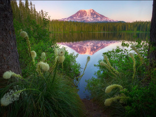 Mountain reflection lake trees grass 7 - a trail free wallpaper
