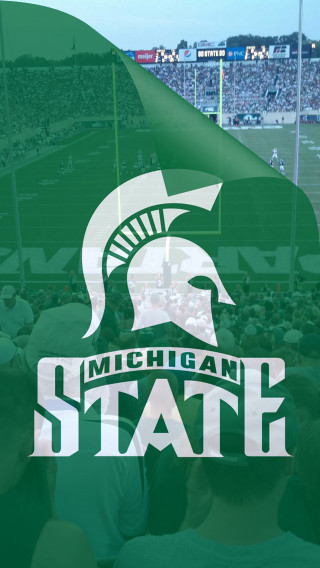 Michigan state football stadium cityscape - a stadium full free wallpaper