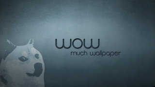 Dog standing wall wow dog - caspar wolf free wallpaper