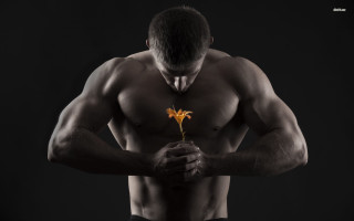 Man flower black background white - dennis flanders free wallpaper